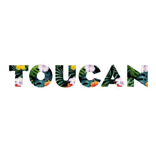 TOUCAN