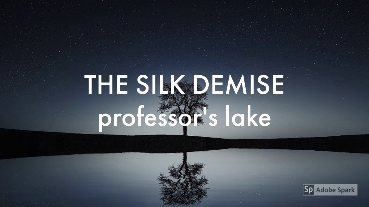 The Silk Demise