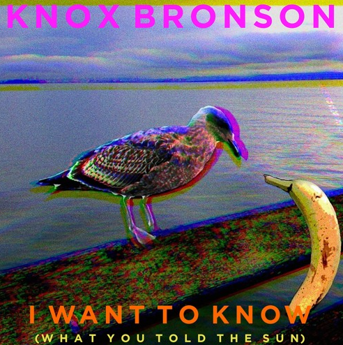 Knox Bronson