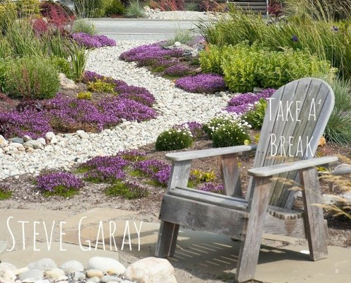 Steve Garay