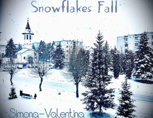 Simona Valentina Snowflakes Fall