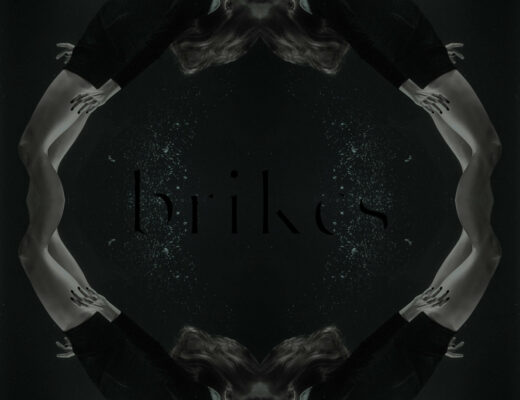 bricks
