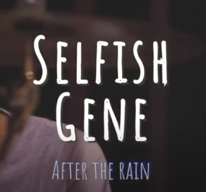 Selfish Gene