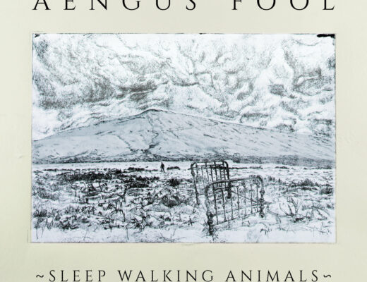 Sleep Walking Animals Aengus Fool