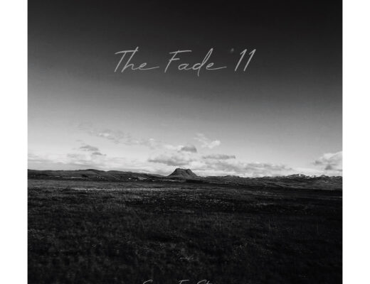 The Fade '11 Frost