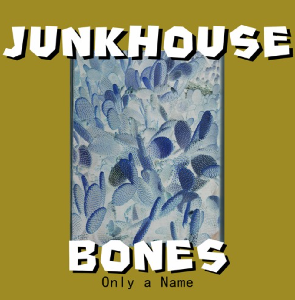Junkhouse Bones