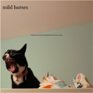 Mild Horses