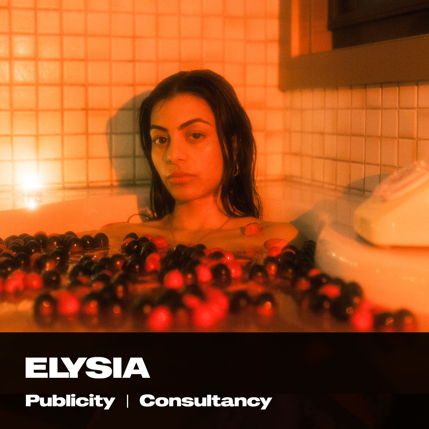 ELYSIA-WEB-2