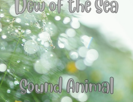 Sound Animal