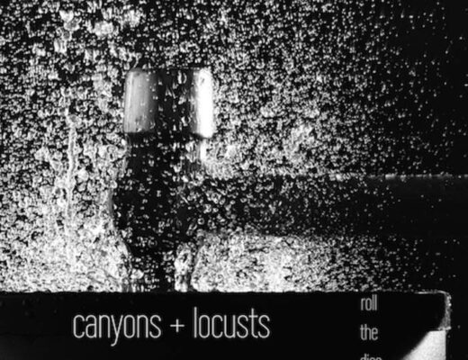 Canyons and Locusts Night of the Locust