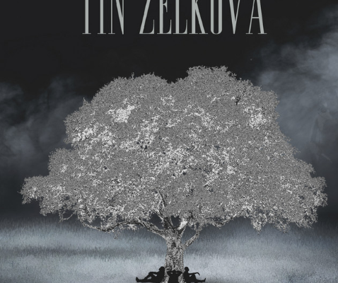 Tin Zelkova