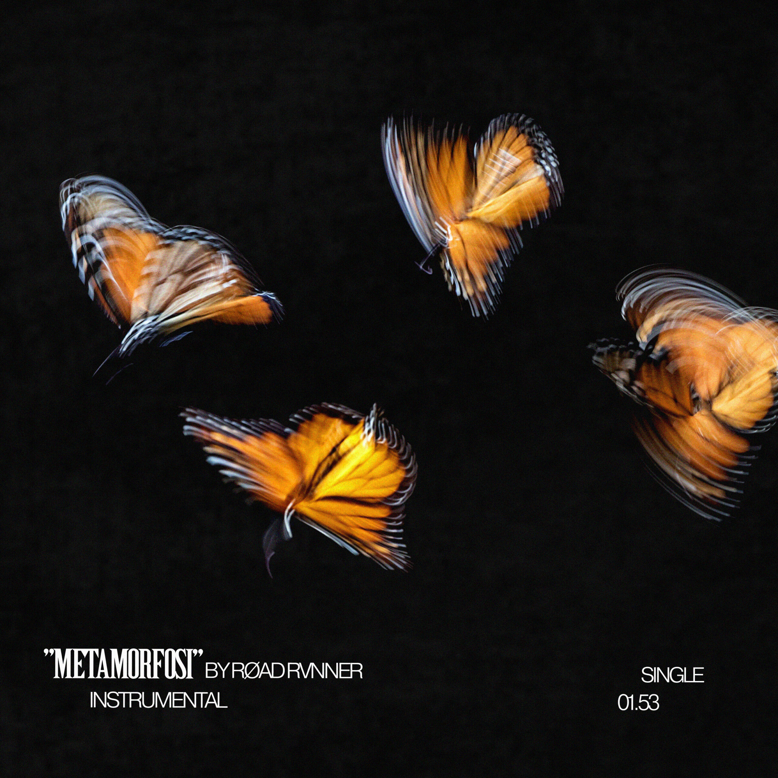 RØAD RVNNER is back with Metamorfosi