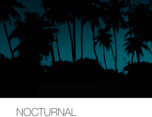 Marcio Garcia Nocturnal