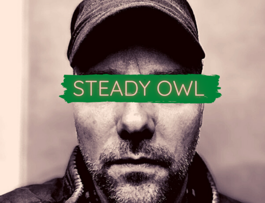 Steady Owl