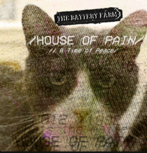 The Battery Farm