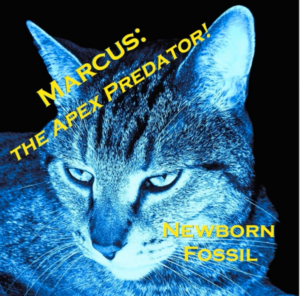 Marcus: the Apex Predator!