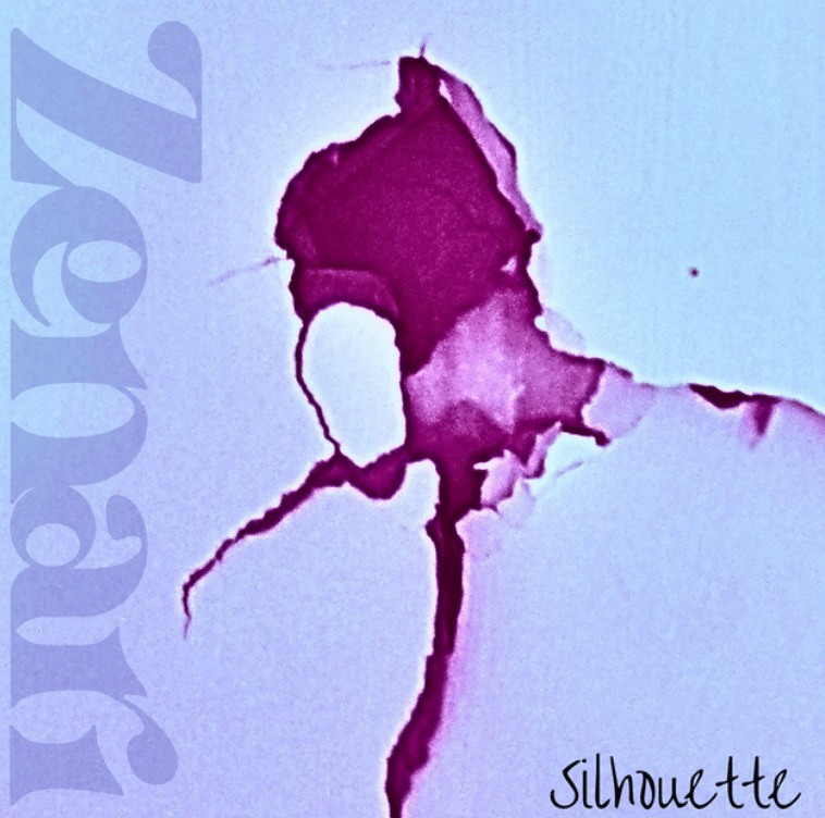 Zenari Pulled Psychedelic Soul from the Shadows in Their Groove-Licked Ennui Remedy, ‘Silhouette’