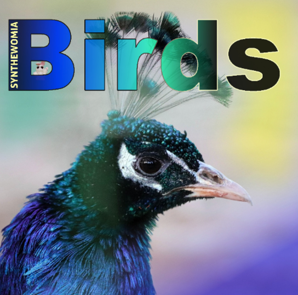 Birdsong Takes Flight in Synthewomia’s Synth-Pop Sanctuary ‘Birds’