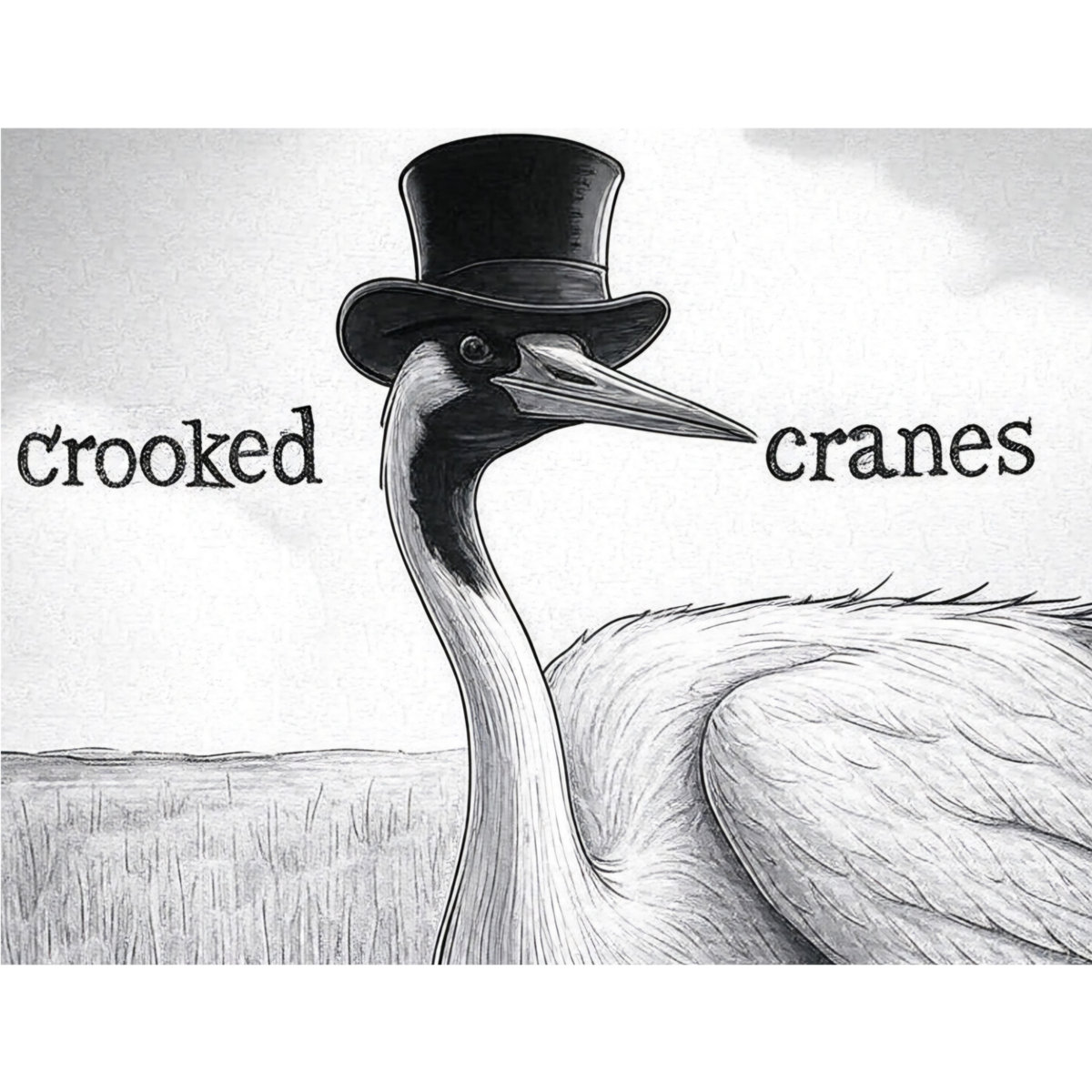 Crooked Cranes Thaw Nostalgia in the Sonic Heatwave of ‘Mehico’ with Proto-Punk Sun-Stroked Intimacy